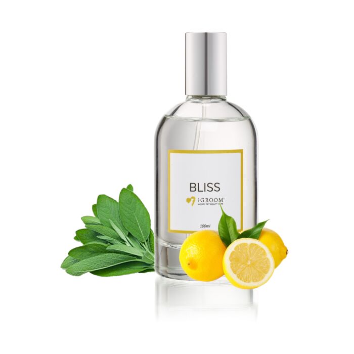 iGroom Bliss 100 ml