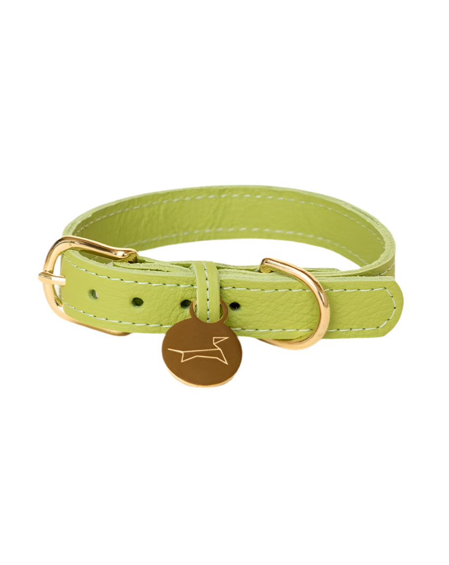 Klassieke halsband - Apple Green