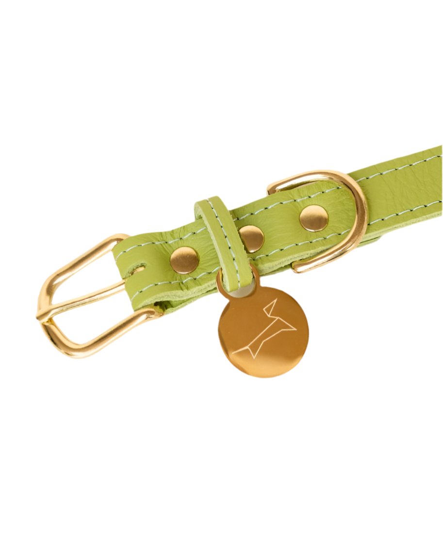 Klassieke halsband - Apple Green